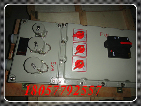 BXX-4防爆动力检修箱（电源）带总开关