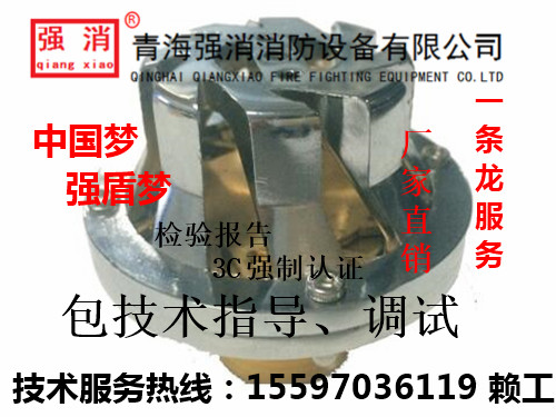ZDMP0.25/5S-QX6喷洒型灭火装置青海强消