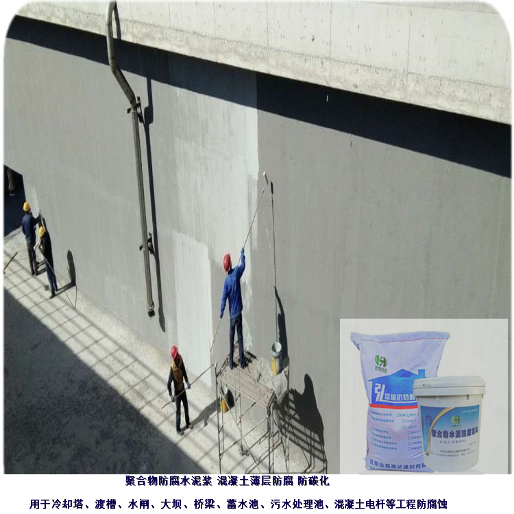 广西桂林全州聚合物类防腐水泥浆_自来水厂防碳化