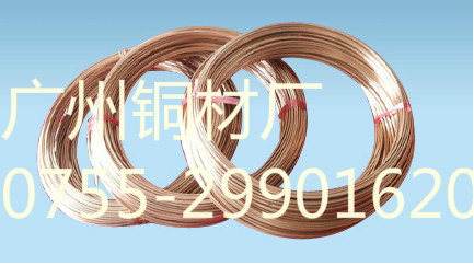 专业批发C1720铍铜线，多种规格铍青铜线，铍铜扁丝