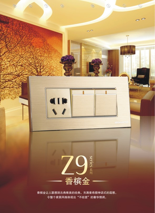 上海邦腾Z9 118系列新款金属拉丝墙壁开关