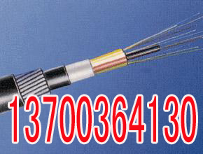 宣城铁路信号电缆行业品牌，宣城标准生产PTYA23厂家