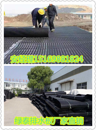 上海2公分绿化蓄排水板/\上海车库排水板