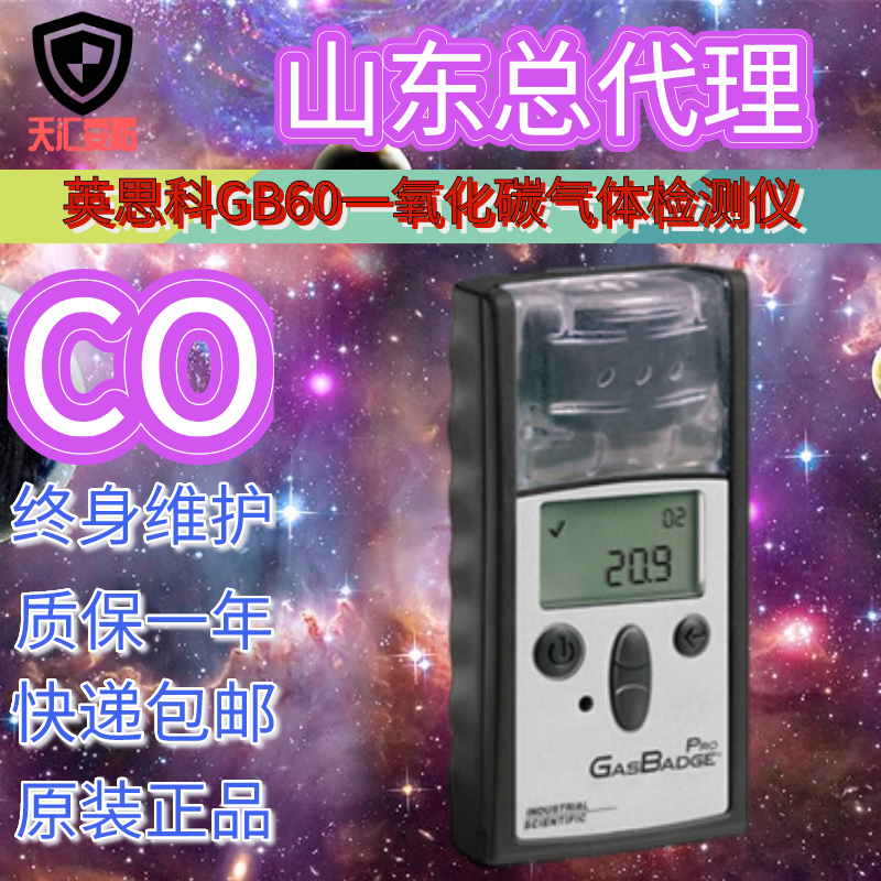 黑龙江省英思科GB60一氧化碳气体检测仪