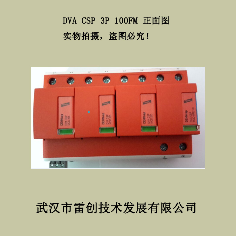 DGPM 1 255 FM220V防雷器安装图-雷创防雷