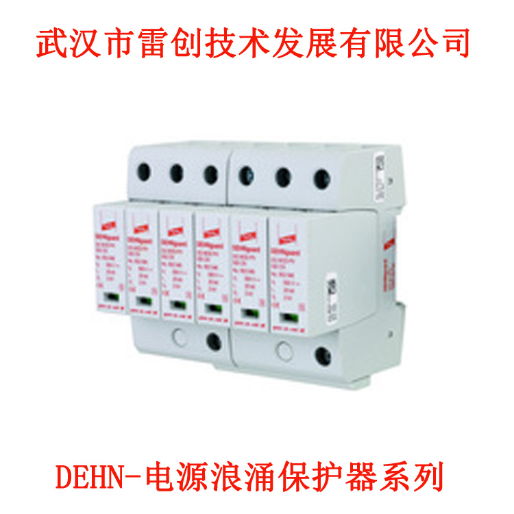 DGPH MOD 255TNS系统电源防雷器厂家-雷创防雷